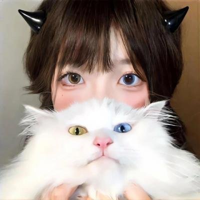 双重幻想